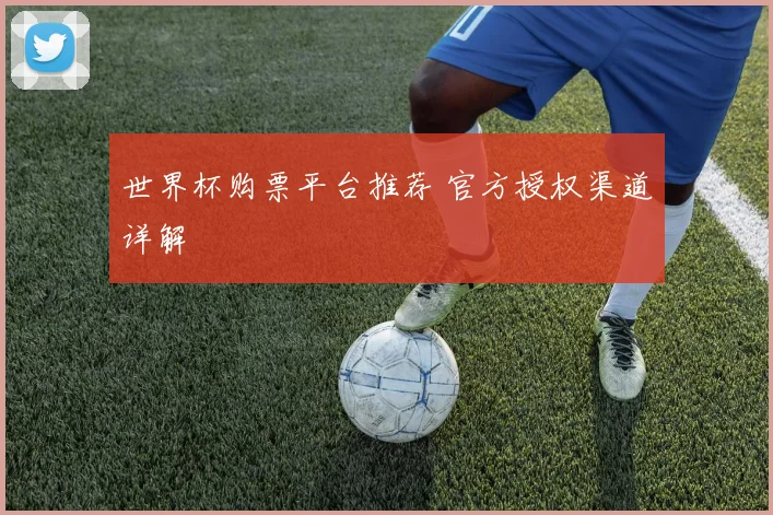 世界杯购票平台推荐 官方授权渠道详解