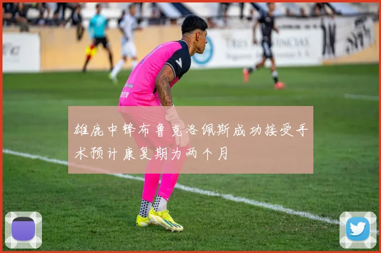 雄鹿中锋布鲁克洛佩斯成功接受手术预计康复期为两个月