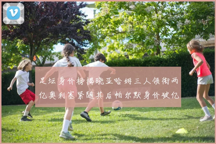足坛身价榜揭晓亚哈姆三人领衔两亿奥利塞紧随其后帕尔默身价破亿