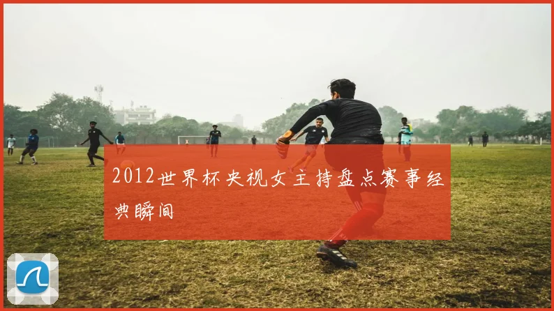 2012世界杯央视女主持盘点赛事经典瞬间