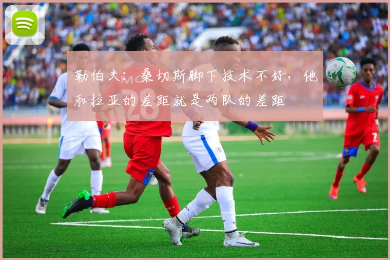 勒伯夫:桑切斯脚下技术不好,他和拉亚的差距就是两队的差距