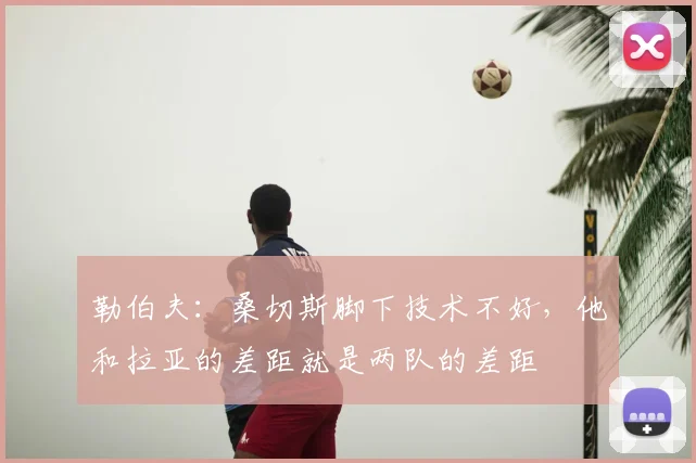 勒伯夫：桑切斯脚下技术不好，他和拉亚的差距就是两队的差距