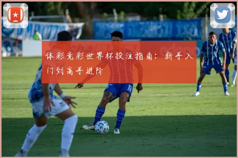 体彩竞彩世界杯投注指南：新手入门到高手进阶