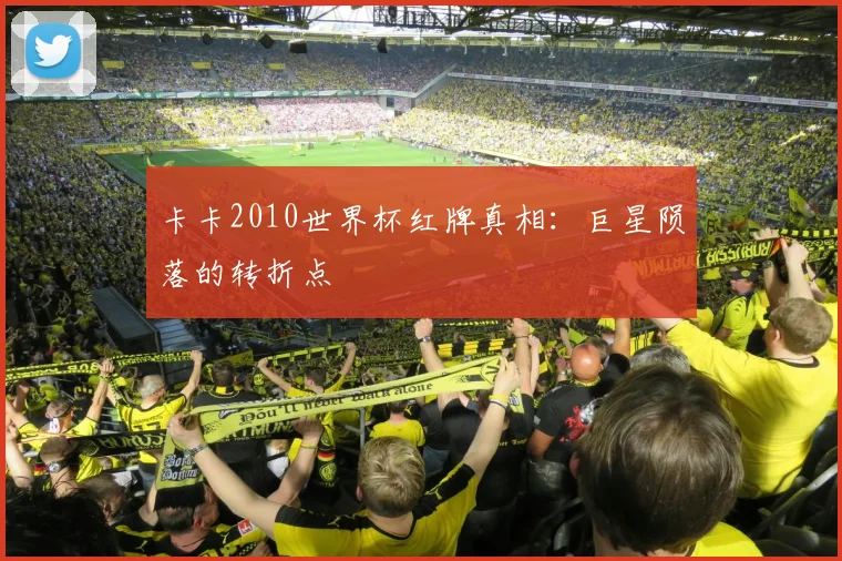 卡卡2010世界杯红牌真相:巨星陨落的转折点