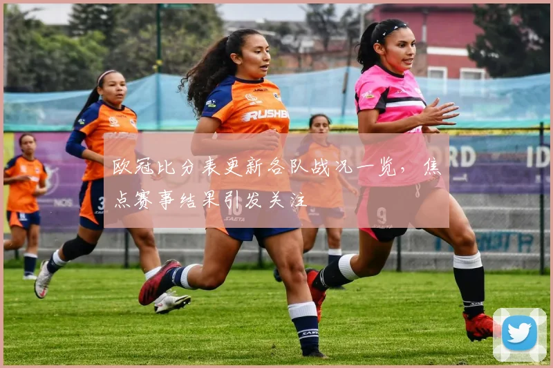 欧冠比分表更新各队战况一览,焦点赛事结果引发关注