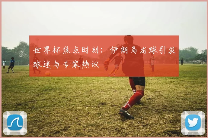 世界杯焦点时刻:伊朗乌龙球引发球迷与专家热议