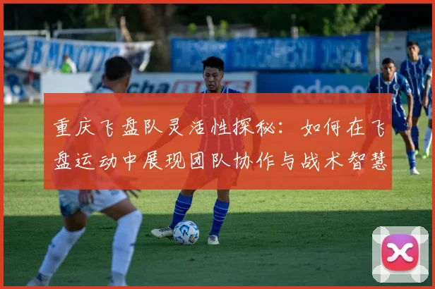 重庆飞盘队灵活性探秘：如何在飞盘运动中展现团队协作与战术智慧
